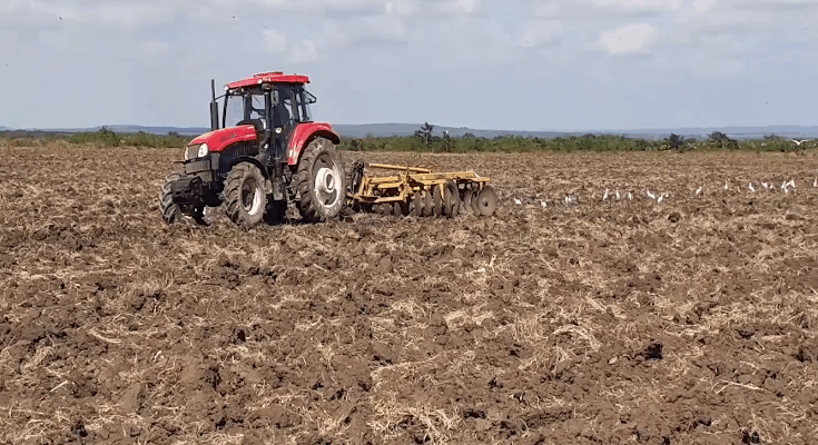 La Agricultura en Contramaestre con deudas en crecimiento económico del primer semestre del año 1 Agricultura con deudas en el crecimiento económico