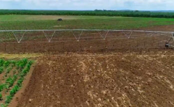 Polo productivo de Laguna Blanca