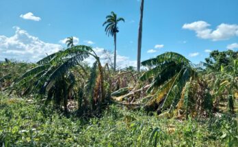 Contramaestre cuantifica daños tars el paso del huracán Melissa