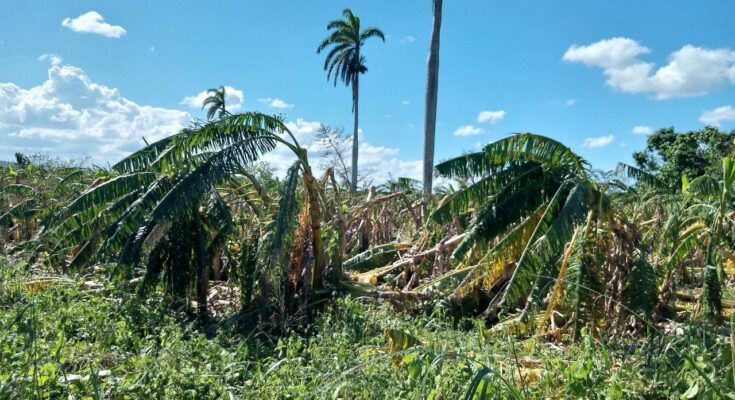 Contramaestre cuantifica daños tars el paso del huracán Melissa