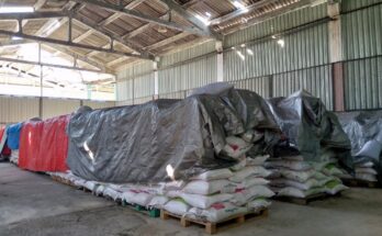 Fábrica de pienso de Contramaeste afectada con ciclón tropical