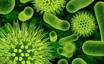 Salud pública de Contramaestre trabaja para prevenir enfermedades tras el paso de Melissa