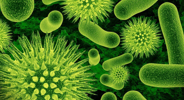 Salud pública de Contramaestre trabaja para prevenir enfermedades tras el paso de Melissa