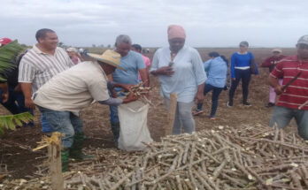Apoyan la producción de alimentos en Polo Productivo de Laguna Blanca.
