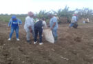 Apoyarán 200 jóvenes al polo productivo de Laguna Blanca