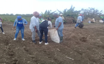 La UJC de Contramaestre activará el campamento productivo de Laguna Blanca, donde deberán participar 200 jóvenes de la provincia de Santiago.