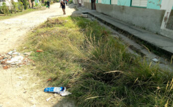 El salidero de agua tuvo solución inmediata pero el hoyo , los escombros y ahora los arbustos que crecieron por el tiempo transcurrido, están ahí,